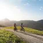 Mountain * فيبربرن